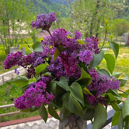 Green Mountain Borjomi ภายนอก รูปภาพ