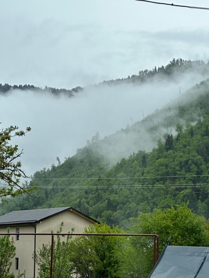 Green Mountain Borjomi ภายนอก รูปภาพ