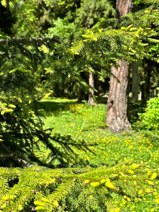 Green Mountain Borjomi ภายนอก รูปภาพ