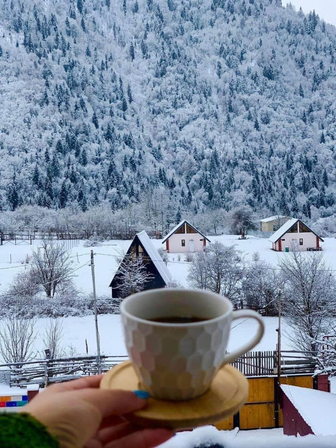 Green Mountain Borjomi ภายนอก รูปภาพ